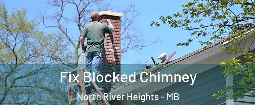  Fix Blocked Chimney North River Heights - MB