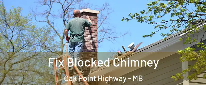  Fix Blocked Chimney Oak Point Highway - MB