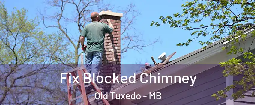  Fix Blocked Chimney Old Tuxedo - MB