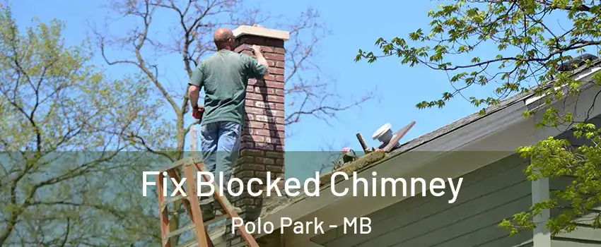  Fix Blocked Chimney Polo Park - MB