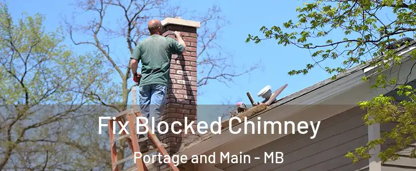  Fix Blocked Chimney Portage and Main - MB