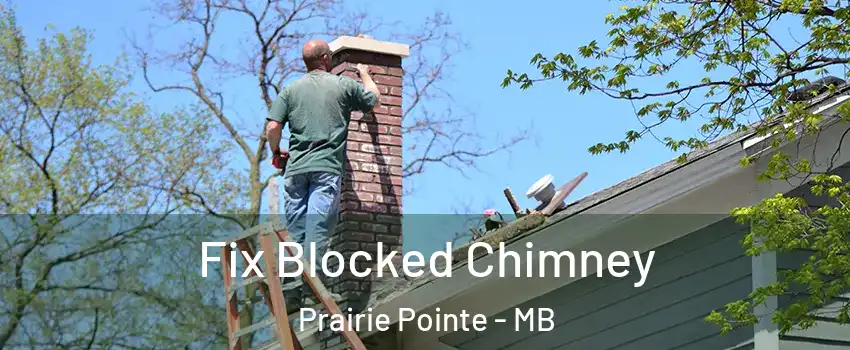  Fix Blocked Chimney Prairie Pointe - MB