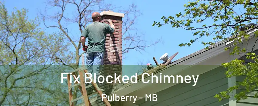  Fix Blocked Chimney Pulberry - MB
