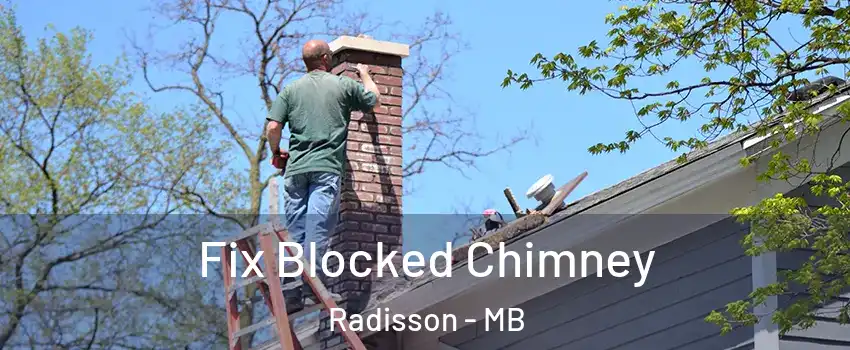  Fix Blocked Chimney Radisson - MB