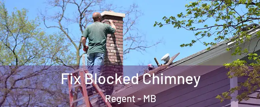  Fix Blocked Chimney Regent - MB
