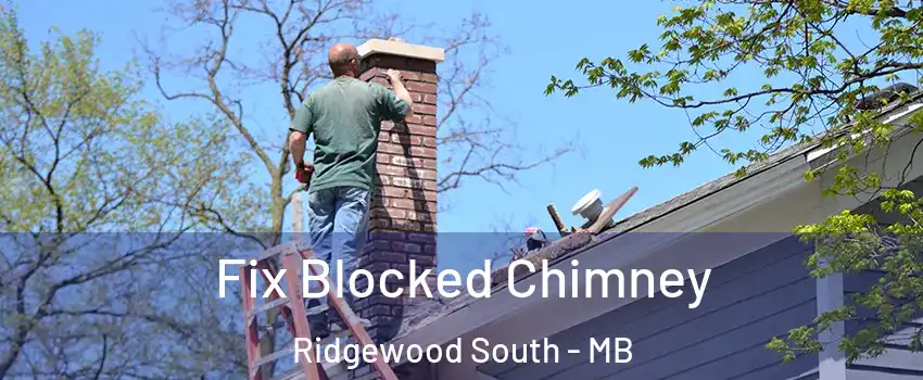  Fix Blocked Chimney Ridgewood South - MB