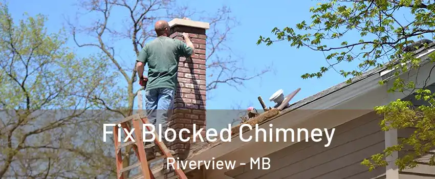  Fix Blocked Chimney Riverview - MB