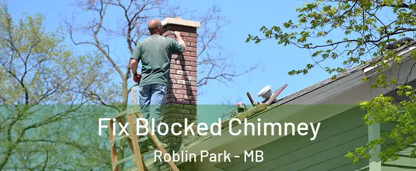  Fix Blocked Chimney Roblin Park - MB