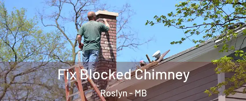  Fix Blocked Chimney Roslyn - MB