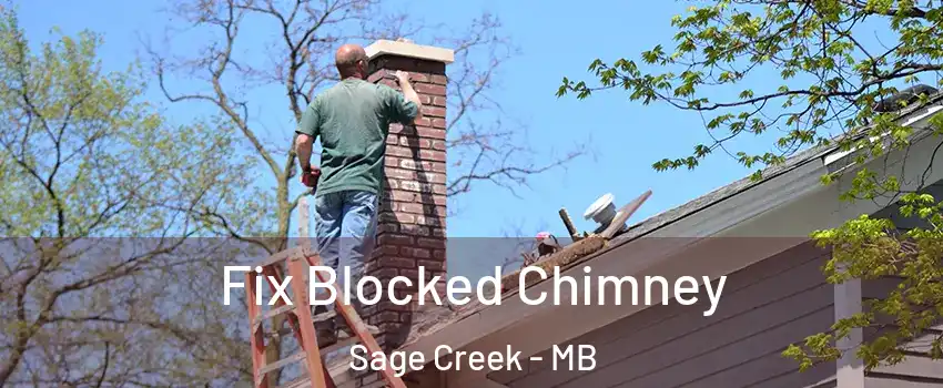  Fix Blocked Chimney Sage Creek - MB