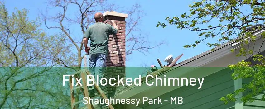  Fix Blocked Chimney Shaughnessy Park - MB