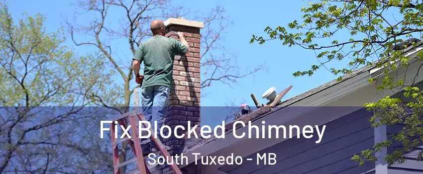  Fix Blocked Chimney South Tuxedo - MB