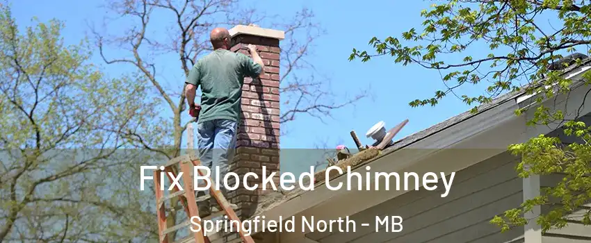  Fix Blocked Chimney Springfield North - MB