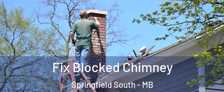  Fix Blocked Chimney Springfield South - MB