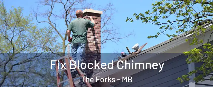  Fix Blocked Chimney The Forks - MB