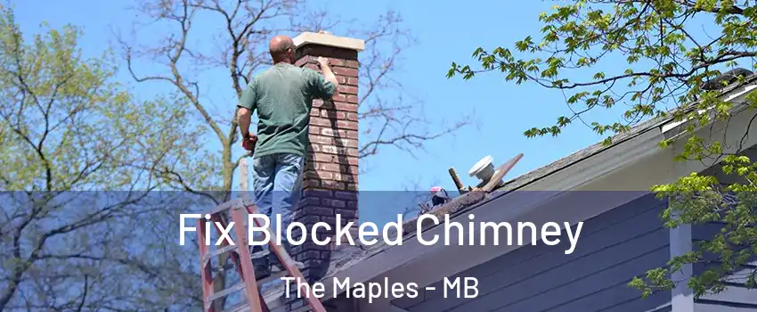  Fix Blocked Chimney The Maples - MB