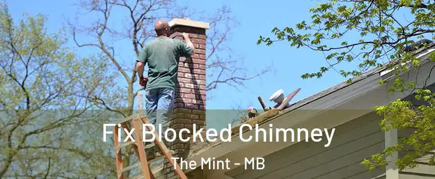  Fix Blocked Chimney The Mint - MB