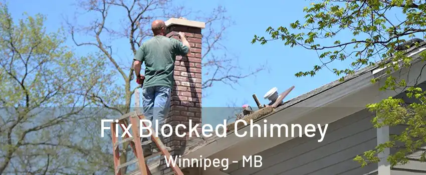  Fix Blocked Chimney Winnipeg - MB