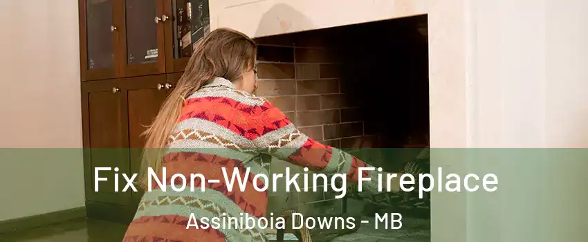  Fix Non-Working Fireplace Assiniboia Downs - MB