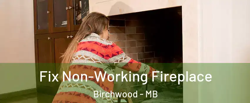  Fix Non-Working Fireplace Birchwood - MB