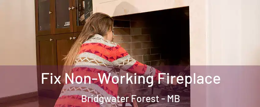  Fix Non-Working Fireplace Bridgwater Forest - MB
