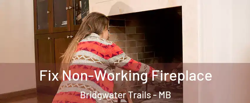  Fix Non-Working Fireplace Bridgwater Trails - MB