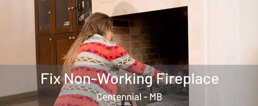  Fix Non-Working Fireplace Centennial - MB