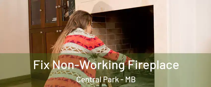  Fix Non-Working Fireplace Central Park - MB