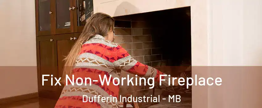  Fix Non-Working Fireplace Dufferin Industrial - MB