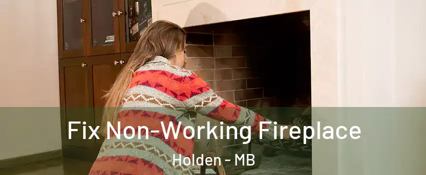  Fix Non-Working Fireplace Holden - MB