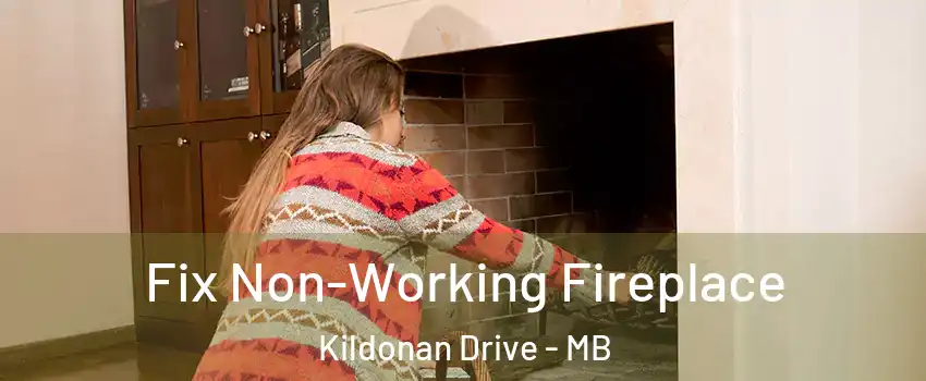  Fix Non-Working Fireplace Kildonan Drive - MB