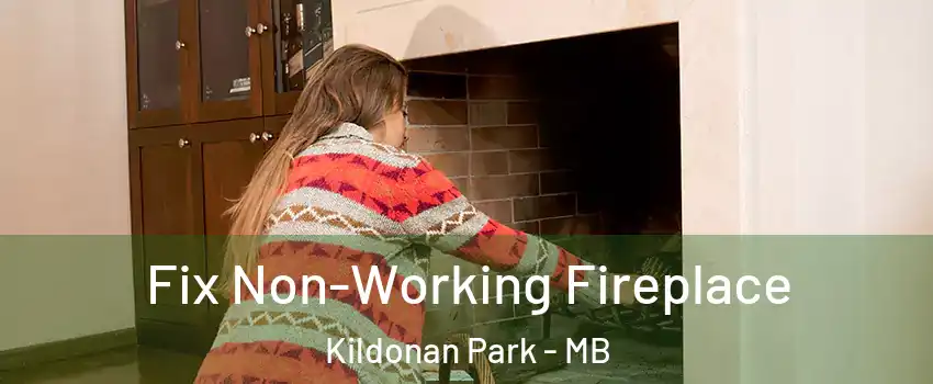  Fix Non-Working Fireplace Kildonan Park - MB