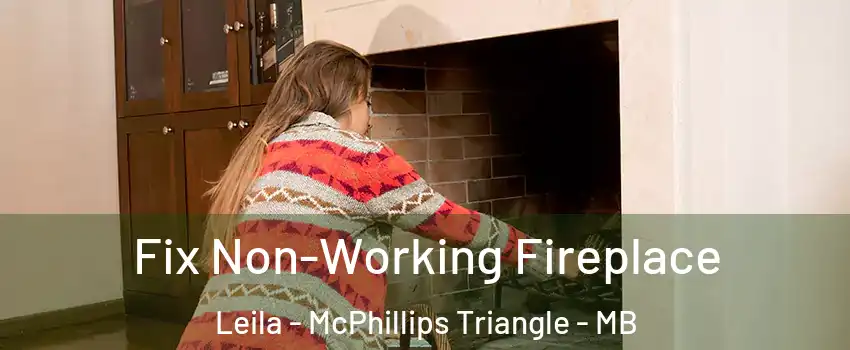  Fix Non-Working Fireplace Leila - McPhillips Triangle - MB