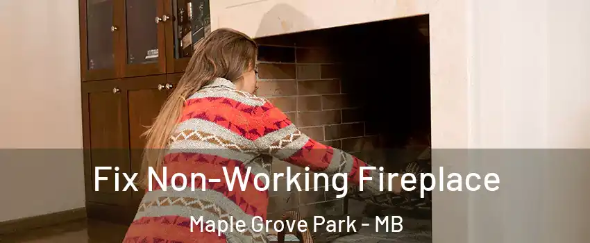  Fix Non-Working Fireplace Maple Grove Park - MB