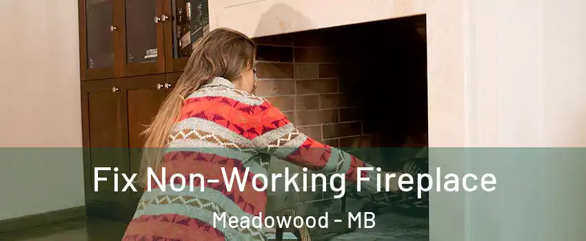  Fix Non-Working Fireplace Meadowood - MB