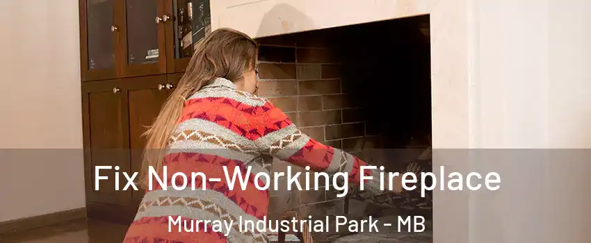  Fix Non-Working Fireplace Murray Industrial Park - MB