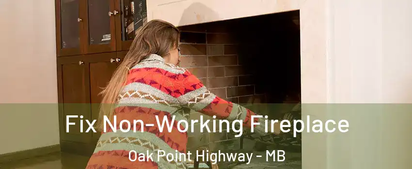  Fix Non-Working Fireplace Oak Point Highway - MB
