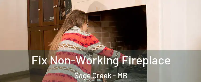  Fix Non-Working Fireplace Sage Creek - MB