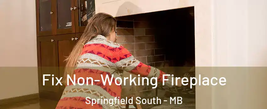  Fix Non-Working Fireplace Springfield South - MB