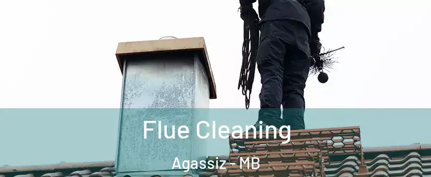  Flue Cleaning Agassiz - MB