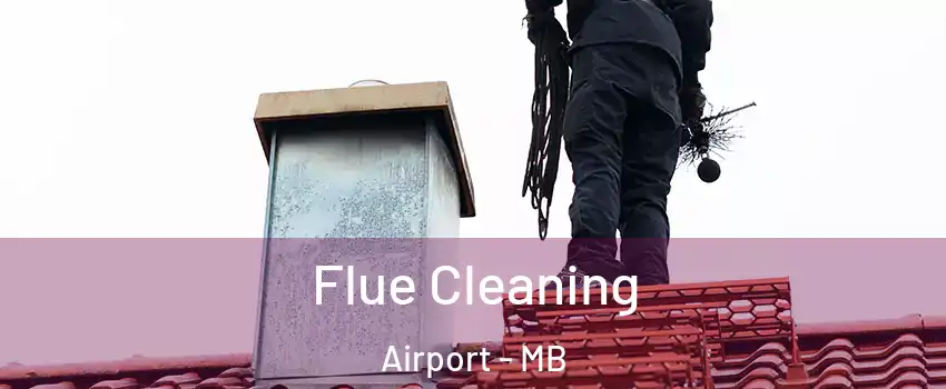 Flue Cleaning Airport - MB