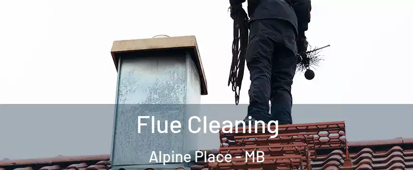  Flue Cleaning Alpine Place - MB