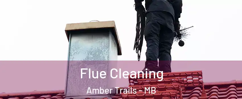  Flue Cleaning Amber Trails - MB
