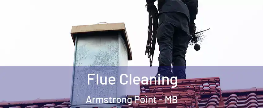  Flue Cleaning Armstrong Point - MB