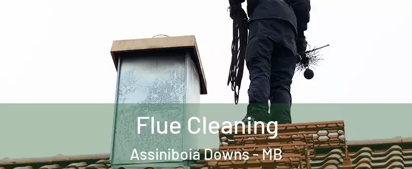  Flue Cleaning Assiniboia Downs - MB