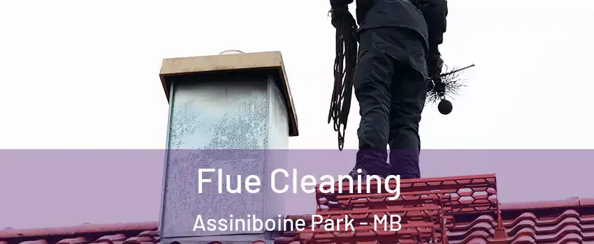  Flue Cleaning Assiniboine Park - MB