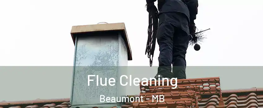  Flue Cleaning Beaumont - MB