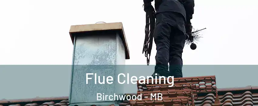  Flue Cleaning Birchwood - MB