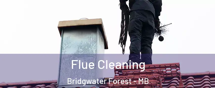  Flue Cleaning Bridgwater Forest - MB