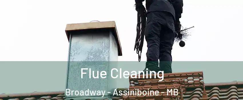  Flue Cleaning Broadway - Assiniboine - MB